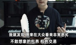 业内人爆料娱乐圈内幕,揭秘明星背后的真实故事