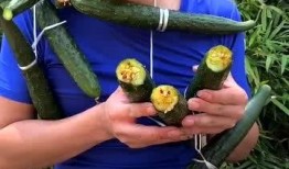 娱乐吃瓜酱精神小伙,揭秘精神小伙的潮流生活