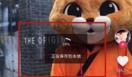 胖猫爆料人的抖音视频,胖猫爆料人独家视频内容大曝光