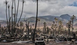 毛伊岛原住民爆料视频,揭秘神秘文化传承与生态危机