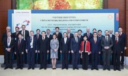 丹麦政府爆料视频大全,爆料视频大全深度解析