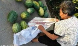 吃瓜最新事件爆料汾阳,揭秘吃瓜群众热议的最新事件内幕”