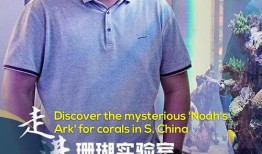 海南直播在线观看,实时畅享热带风情直播秀