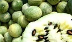 我爱吃瓜官网免费吃瓜子,我爱吃瓜官网带你畅享美味时光