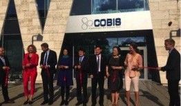 丹麦政府爆料视频大全,爆料视频大全深度解析