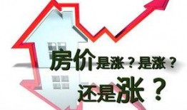 房地产女销售爆料案例最新,真实案例背后的行业真相