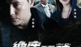 绝密跟踪 在线观看,揭秘神秘追踪者的惊险之旅