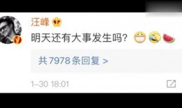 2024娱乐圈吃瓜网盘,揭秘年度最热吃瓜网盘大事件