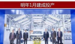 大众化工厂爆料视频,独家爆料视频深度解析