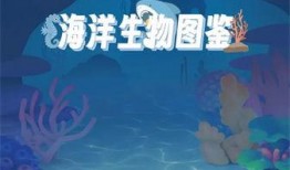 海洋生物爆料视频下载,揭秘水下世界的神秘爆料瞬间