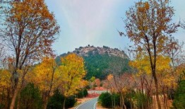 初冬爆料视频完整版,精彩瞬间与幕后故事大公开