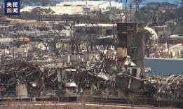 毛伊岛原住民爆料视频,揭秘神秘文化传承与生态危机