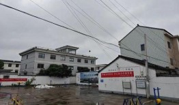 岑前村拆迁爆料最新消息,揭秘拆迁背后的故事与影响”