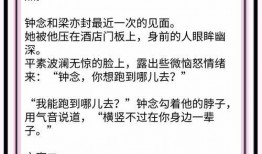 娱乐圈小说推荐爆料男主,揭秘男主背后的神秘爆料