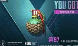 pubgm极品宝箱爆料最新,pubgm极品宝箱内容大揭秘！