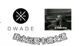 韦德之道九最新爆料,篮球传奇再续辉煌