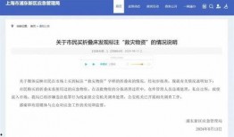 金宝通最新爆料信息查询,揭秘行业黑幕，揭秘金宝通全新战略布局