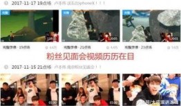 王琳爆料视频播放在线观看,揭秘娱乐圈幕后真相