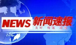 新闻爆料素材视频下载,揭秘幕后真相