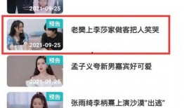 隔壁老樊最新爆料,揭秘音乐背后的故事与心路历程