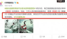 孟飞爆料天涯视频播放,天涯视频播放背后的秘密