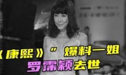 康熙爆料一姐视频大全播放,揭秘娱乐圈幕后故事