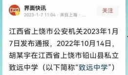 爆料致远中学事件真相视频,揭秘背后惊人内幕