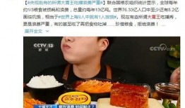 龙岩特产爆料事件视频播放,揭秘视频播放背后的热门现象