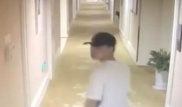 网红大姨被爆料视频,揭秘背后惊人真相