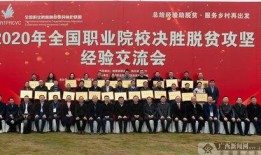 广西建院爆料新闻,揭秘校园内幕，真相背后引关注