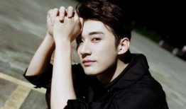 刘学义最新八卦爆料事件,揭秘娱乐圈风云再起