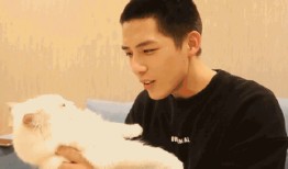 娱乐圈吃瓜爆料陈星旭,揭秘明星背后的真相