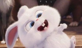 娱乐吃瓜酱兔圆圆,揭秘娱乐圈那些不为人知的幕后故事