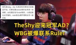 wbg最新爆料,揭秘电竞圈的惊天秘密与幕后真相