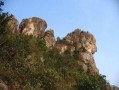 狮子山爆料时间最新新闻,最新独家新闻速递