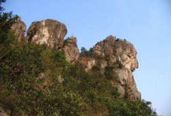 狮子山爆料时间最新新闻,最新独家新闻速递