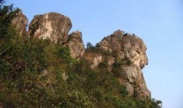 狮子山爆料时间最新新闻,最新独家新闻速递