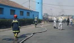 河北安平县爆料事件视频,视频揭露惊人真相