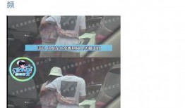 刘大锤爆料何九华视频