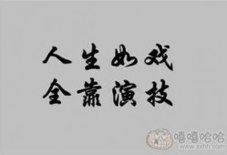 人生如戏在线观看,一场精彩纷呈的人间喜剧