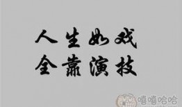 人生如戏在线观看,一场精彩纷呈的人间喜剧