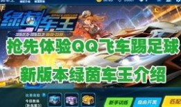 飞车艾丽莎爆料视频大全,揭秘游戏幕后精彩瞬间