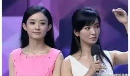 娱乐圈吃瓜爆料李宇春,揭秘背后的真相与争议