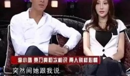 堕落的议员妻在线观看,权谋与欲望的漩涡