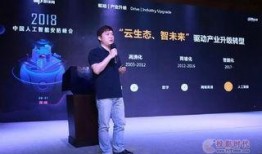 大华爆料视频大全集,揭秘幕后真相，还原事件全貌