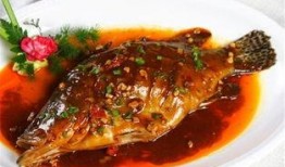 洛鱼黑历史爆料视频,黑历史视频背后的惊人真相