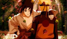 少年佐助大招爆料视频下载