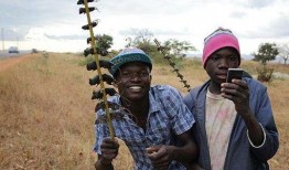 非洲网红吃瓜事件真相是真的吗,真相揭秘，是真是假？