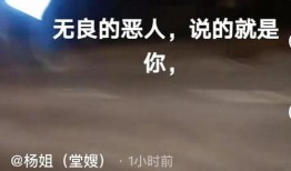 穷游小峰最新爆料新闻,最新旅行爆料背后的故事