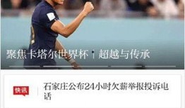 最新模块爆料视频大全集,揭秘科技前沿，畅览创新风采